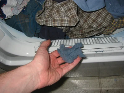 Lint is dryer poop.