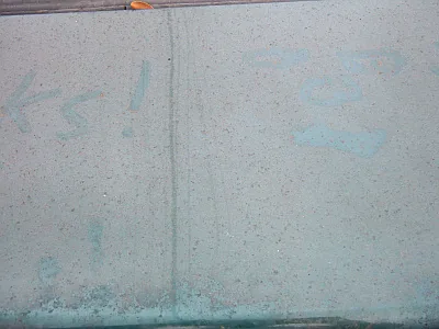 A dirty car is a Petri dish.