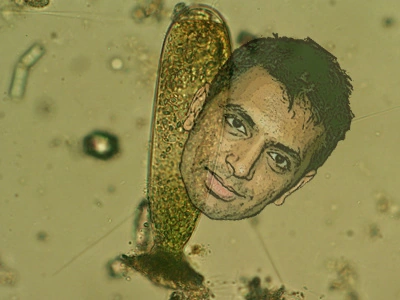 Not all microbes are intelligent.