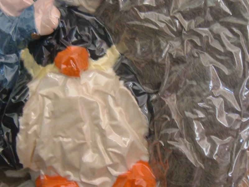 Vacuum-sealed stuffed animals.