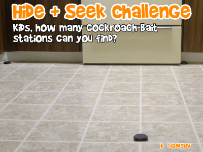 How many bait stations can you find?