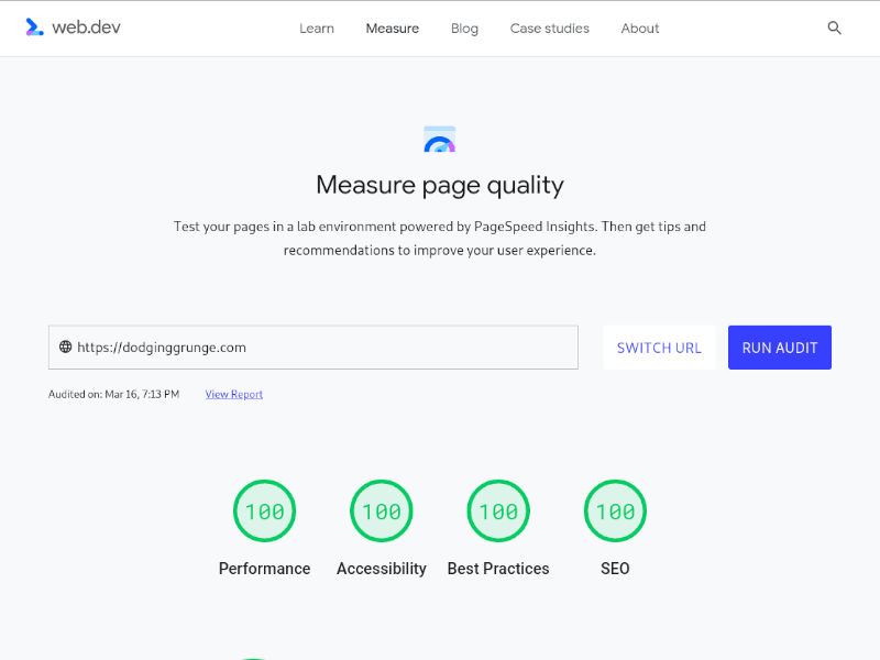 A perfect score on Google's web.dev tool.