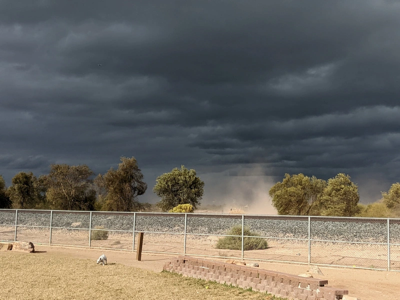 A tiny dog at the park unaware that a hellmouth is erupting on the other side of the fence.