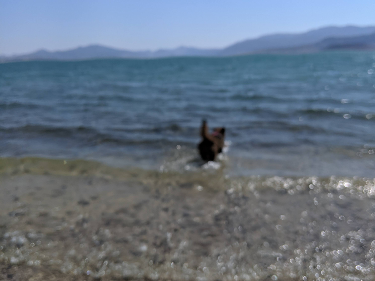 A blurry photo of Nessie, the Loch Ness Monster, reentering a large body of water.