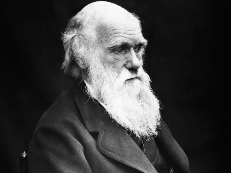 A portrait of Charles Darwin.