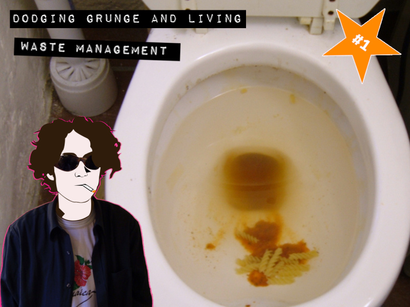 A toilet with food scraps thrown in.