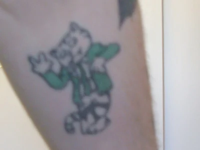 Josh's Fritz the Cat tattoo colored green.