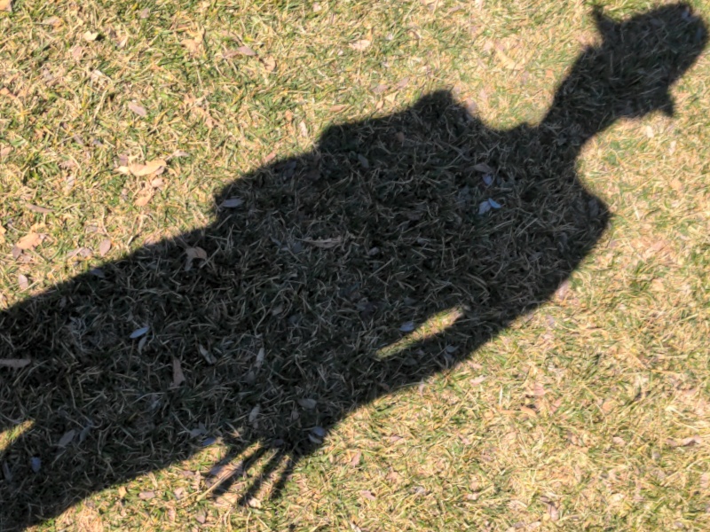 Freddy Kruger casts a shadow across the lawn.