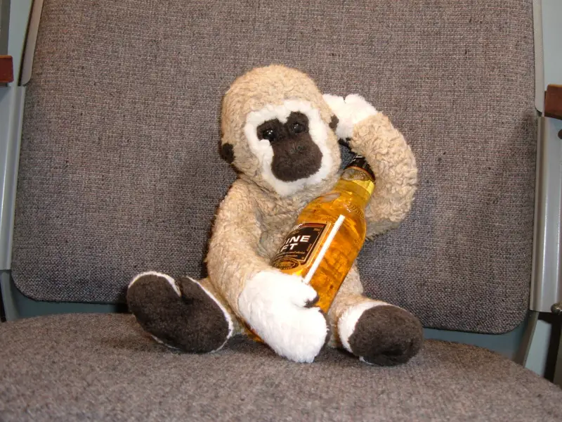 A stuffed monkey sits alone in a movie theatre seat.
