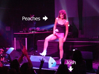 The singer Peaches at concert.