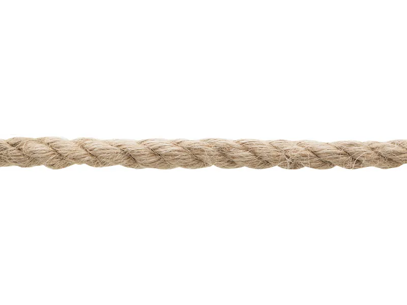 A strand of rope.